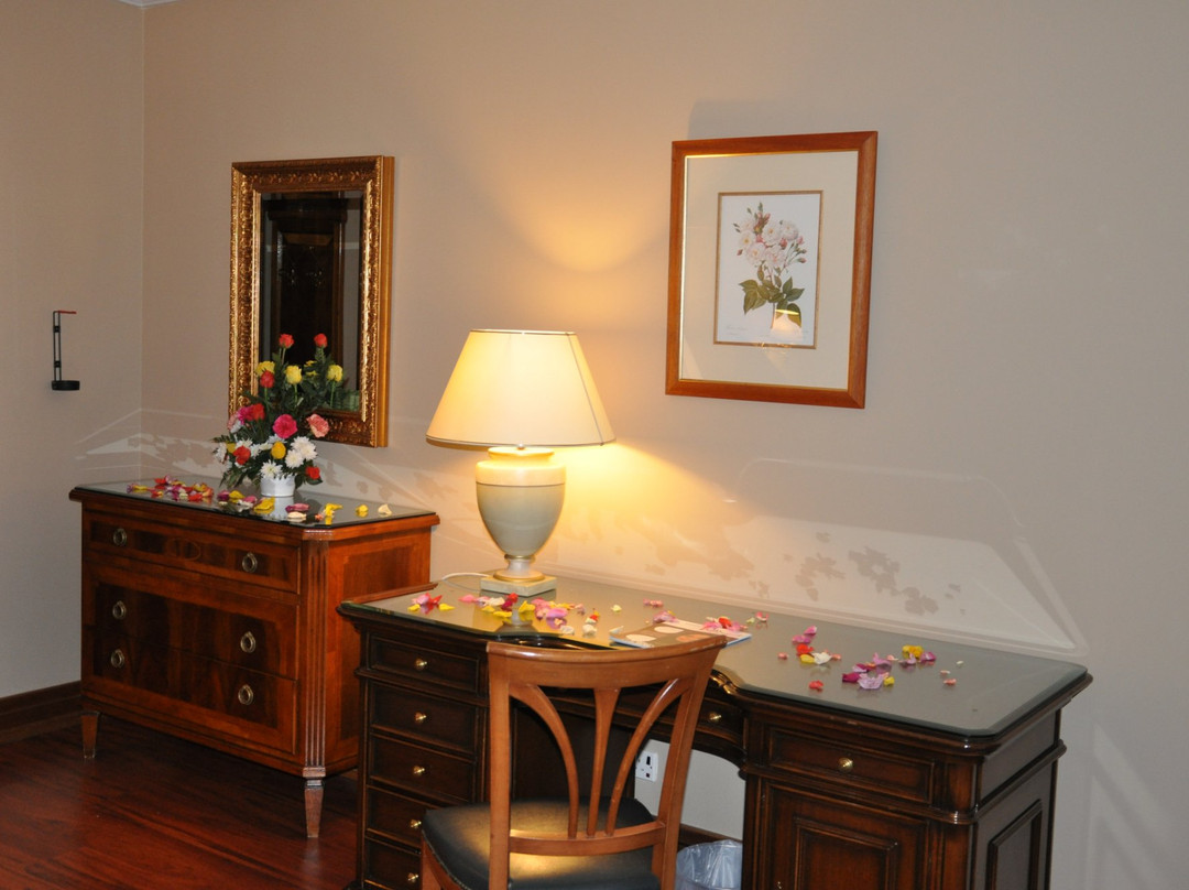 Abha Palace Hotel主图