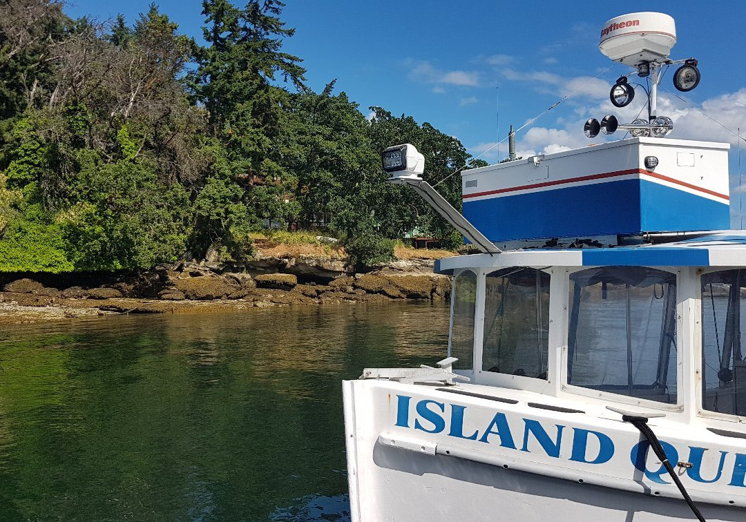 Protection Island景点图片