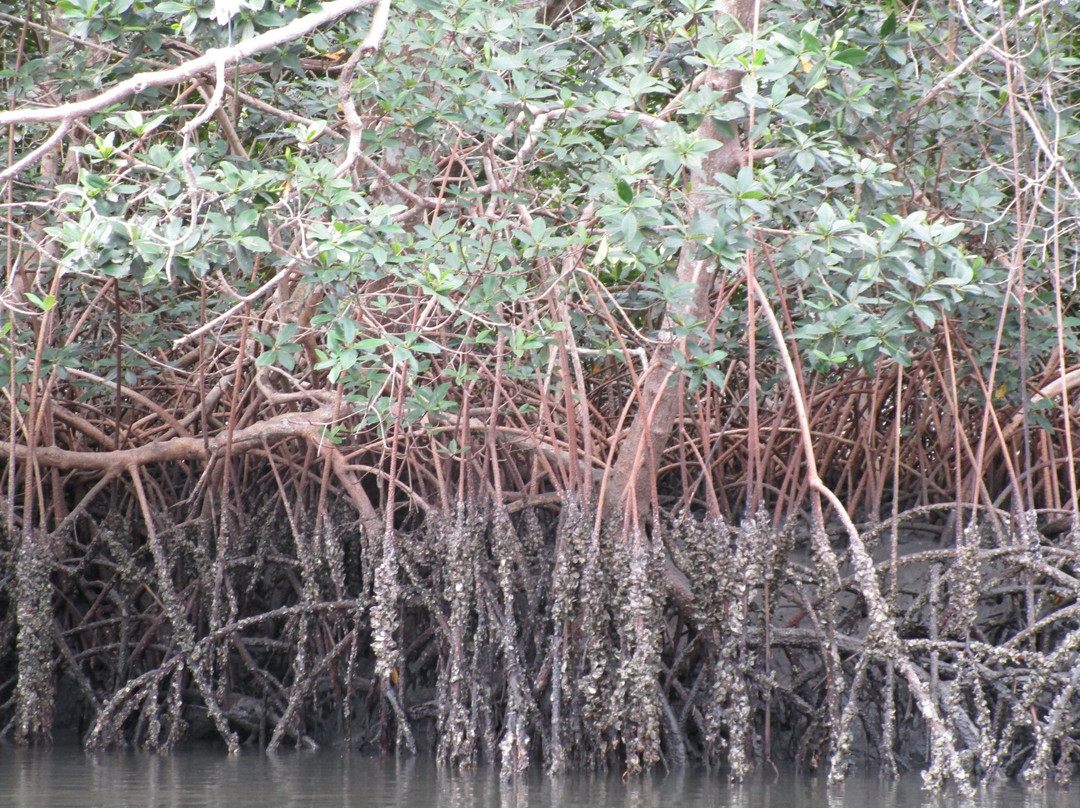 Akanda National Park-利伯维尔必去景点