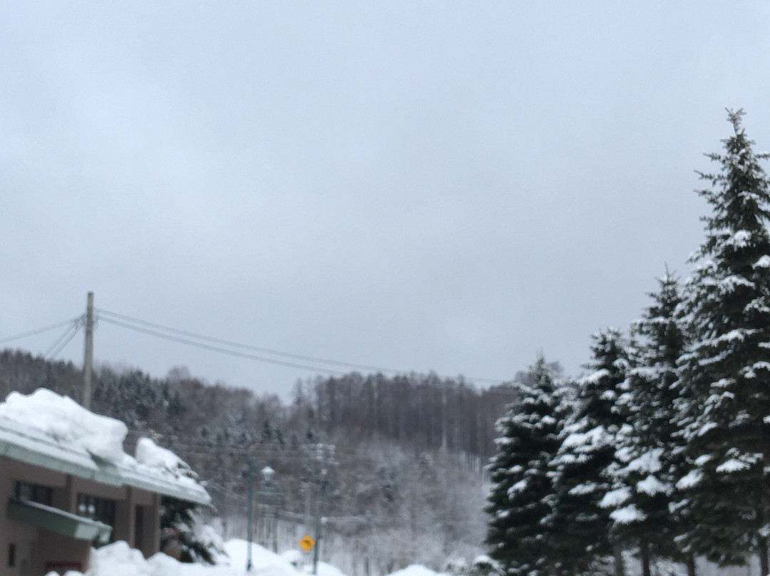 Kamoidake Kokusai Ski Resort-歌志内市必去景点