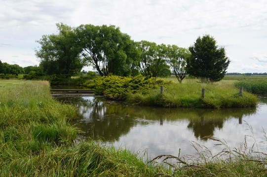 Mother of Ducks Lagoon Nature Reserve