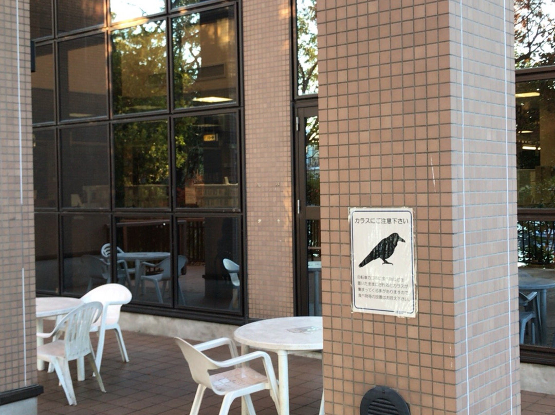 Senzokuike Library-大田区必去景点