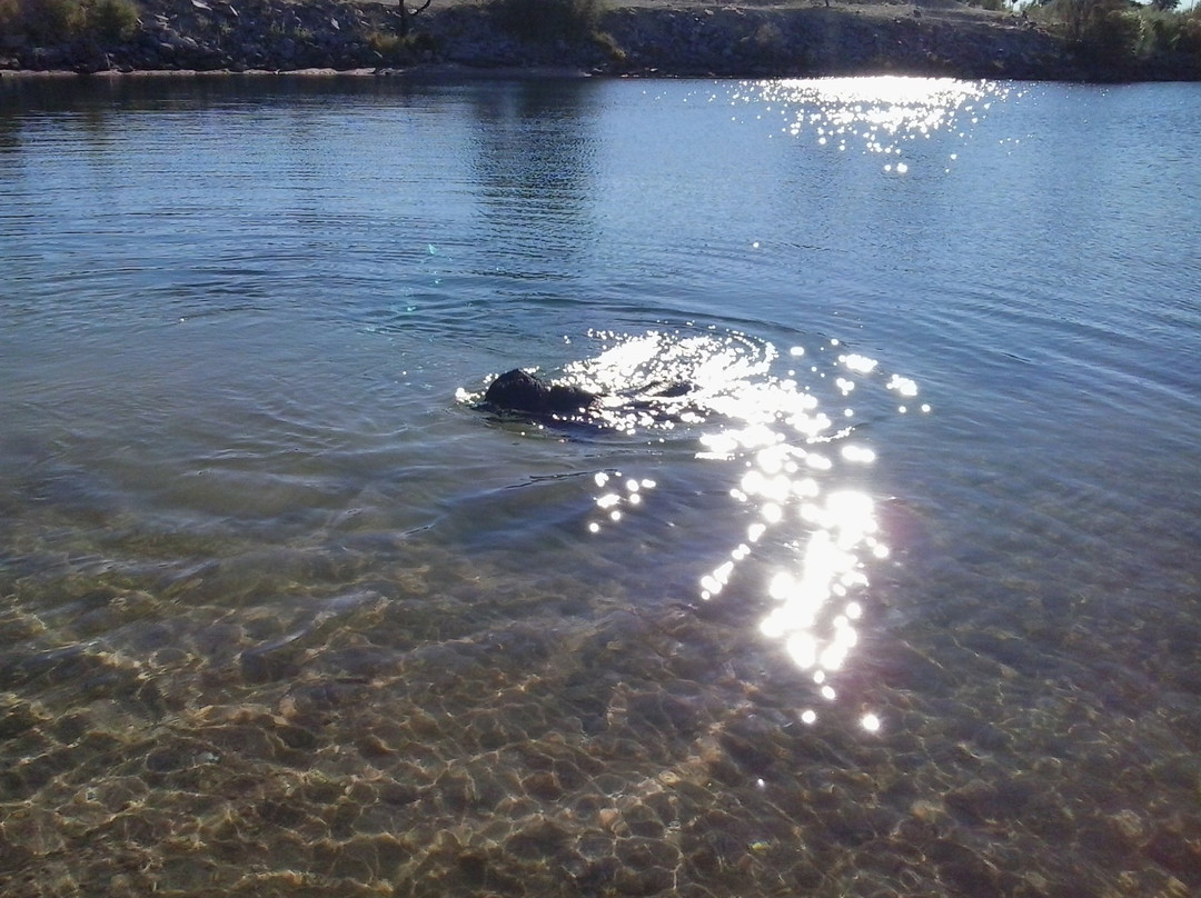 Big Bend of the Colorado-拉芙琳必去景点