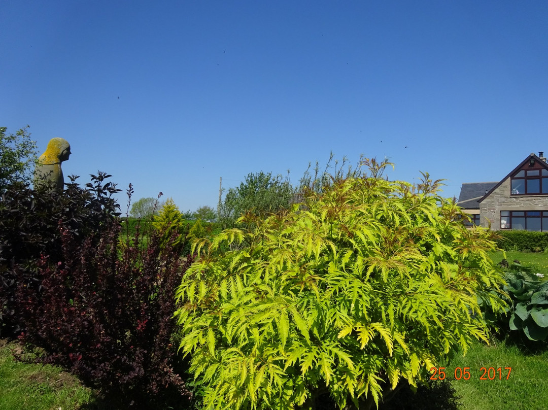 Croftsmuir Steading Bed and Breakfast主图