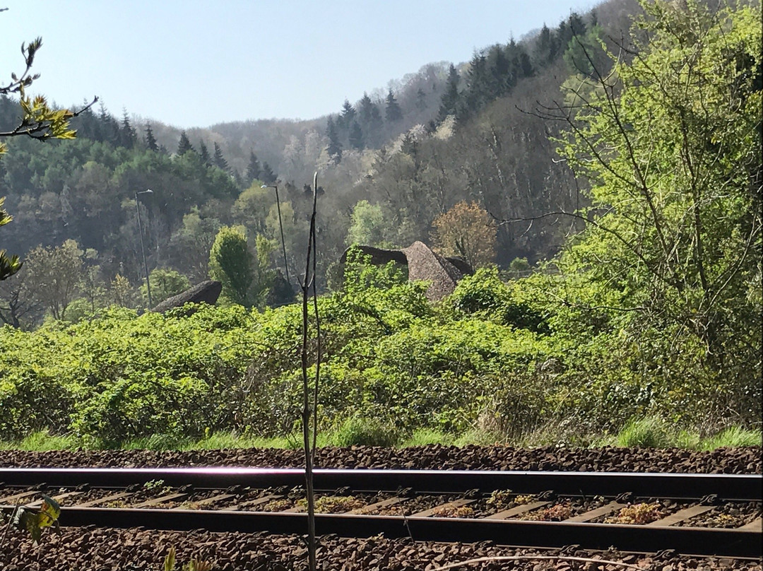 Bennett's Patch and White's Paddock-布里斯托尔必去景点