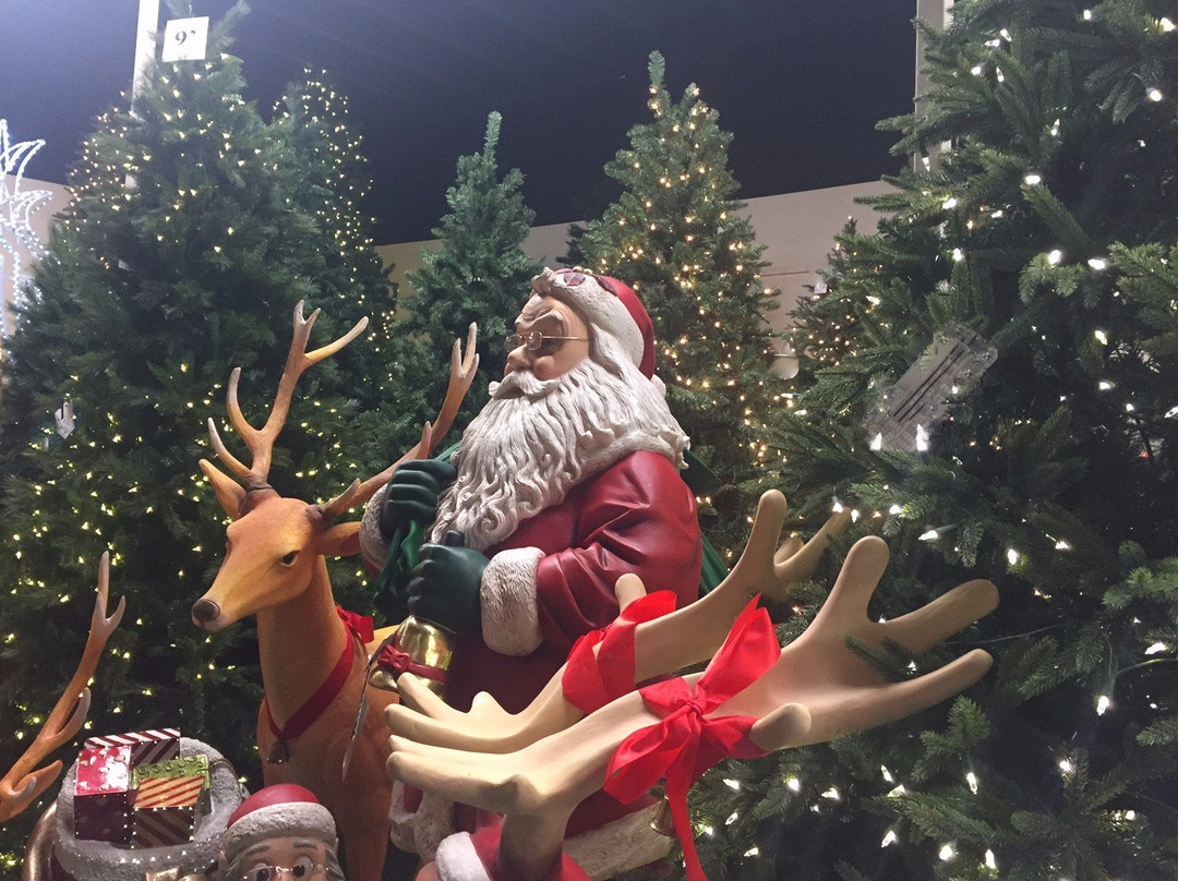 The Christmas Palace-劳德代尔堡必去景点