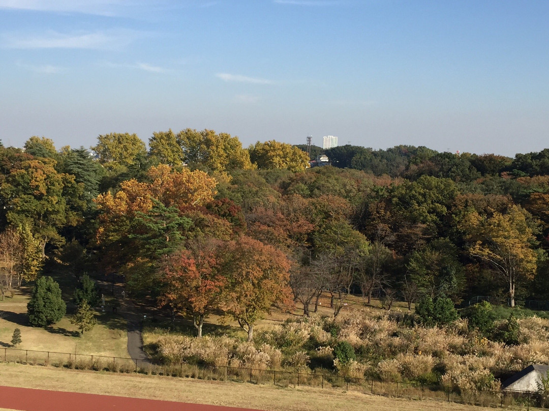 Sayama Park-东村山市必去景点