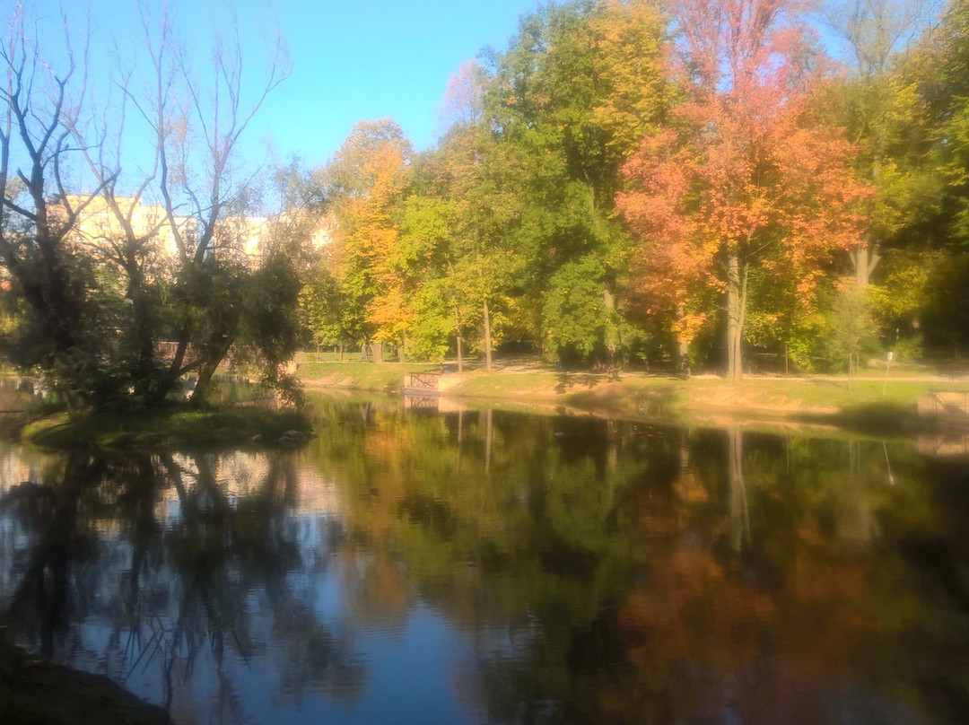 Park Miejski im. Franciszka Kachla景点图片
