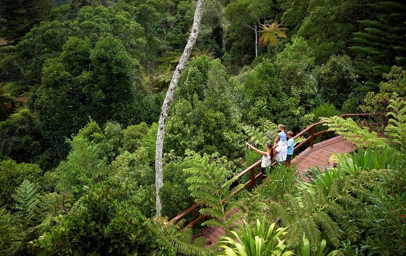 Norfolk Island National Park & Botanic Garden景点图片