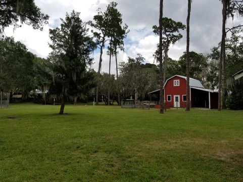 Old McMicky's Farm-Odessa必去景点