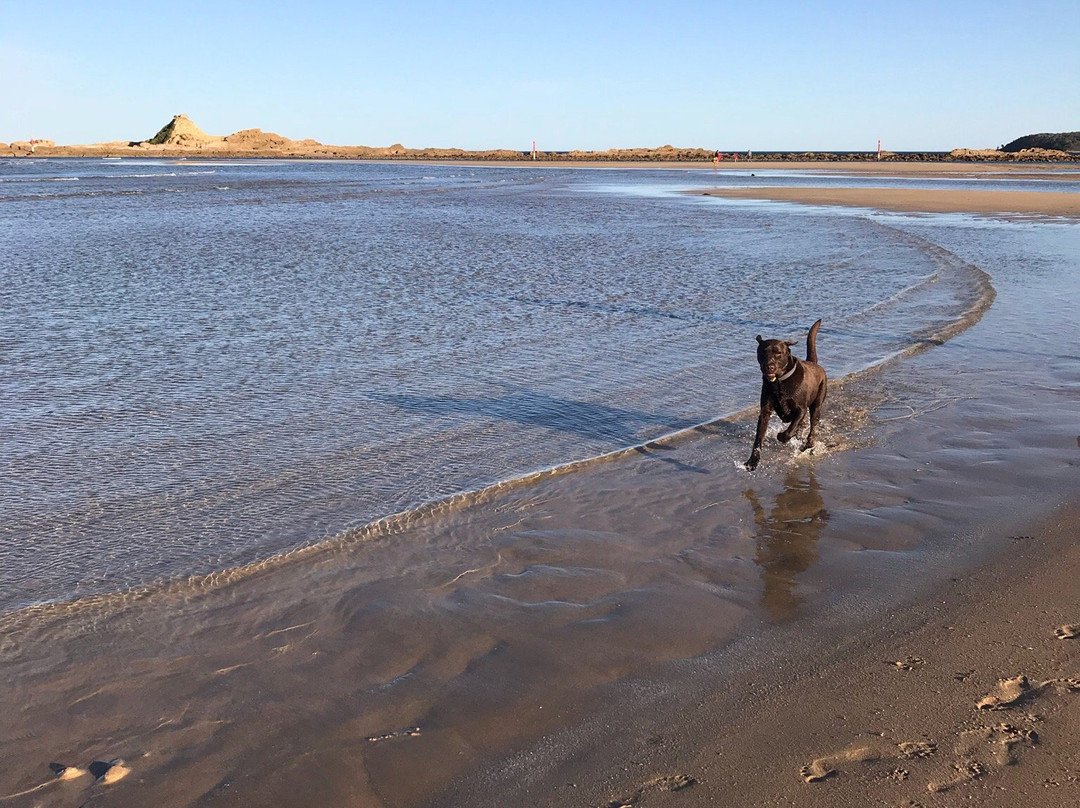 Tomakin Beach-Tomakin必去景点