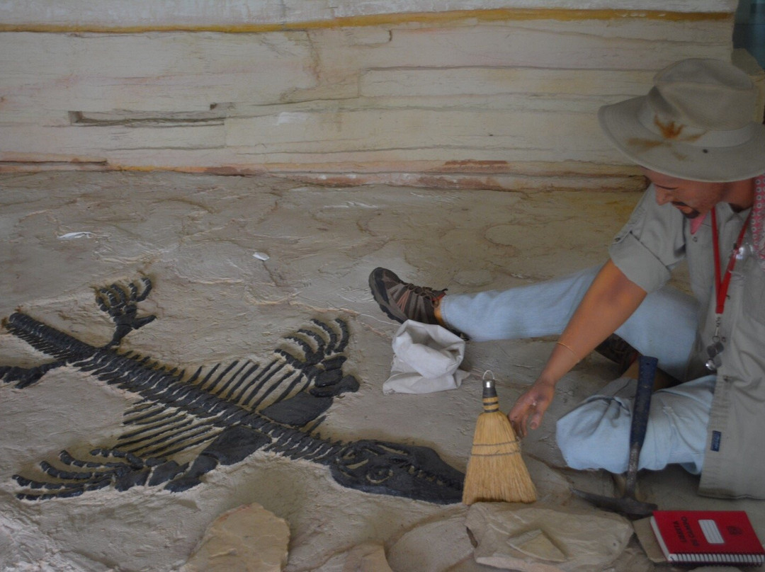 Museo de Paleontologia de Muzquiz-Muzquiz必去景点