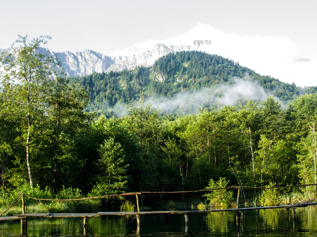 Kutaisi Tour-库塔伊西必去景点