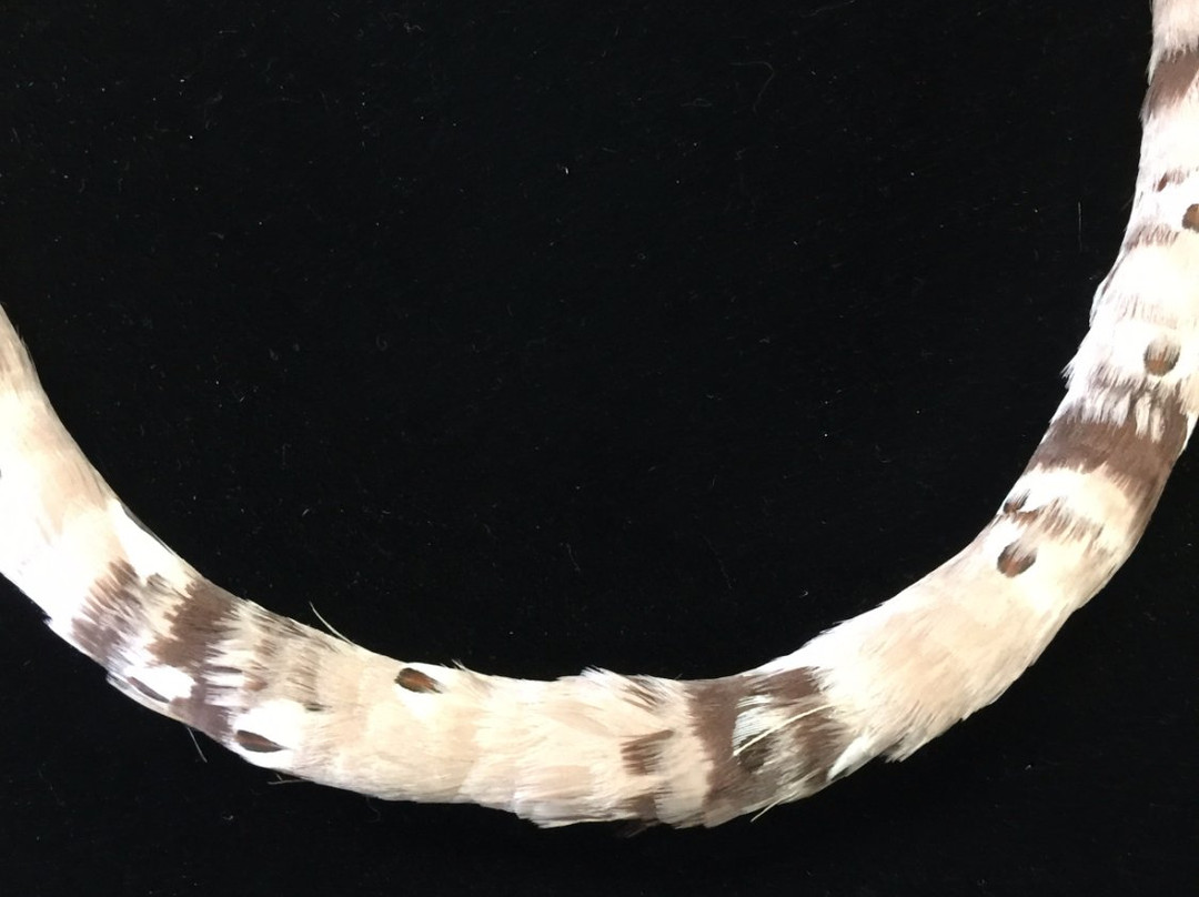 Maui Feather Lei Island Inspired-怀露库必去景点