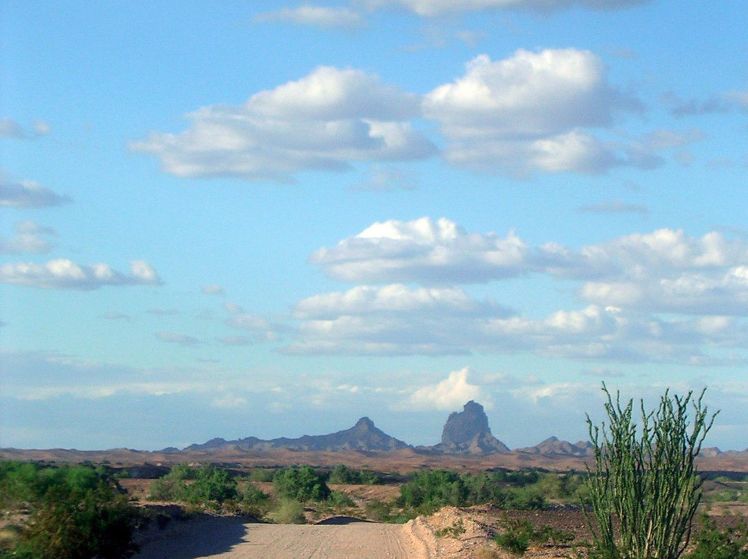 Picacho State Recreation Area-Winterhaven必去景点