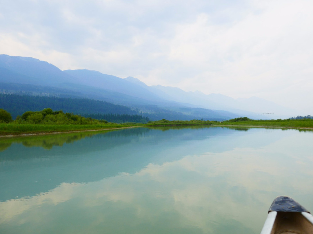 Columbia Wetlands Outpost景点图片
