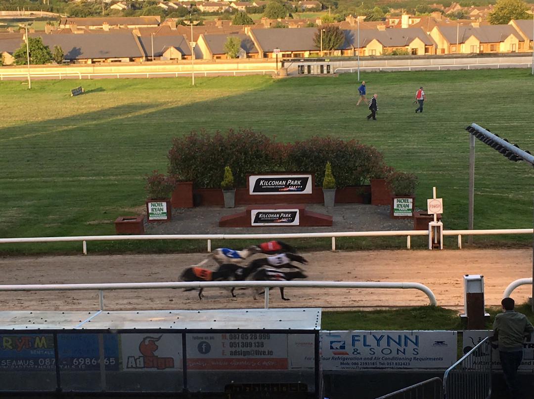 Kilcohan Park Greyhound Stadium-沃特福德必去景点
