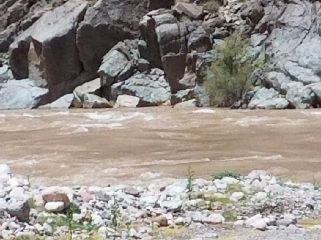 The Inner Canyon Tour from Williams, AZ-威廉姆斯必去景点