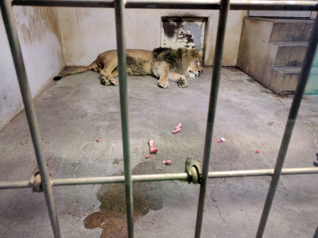 Kushiro City Zoo-钏路市必去景点