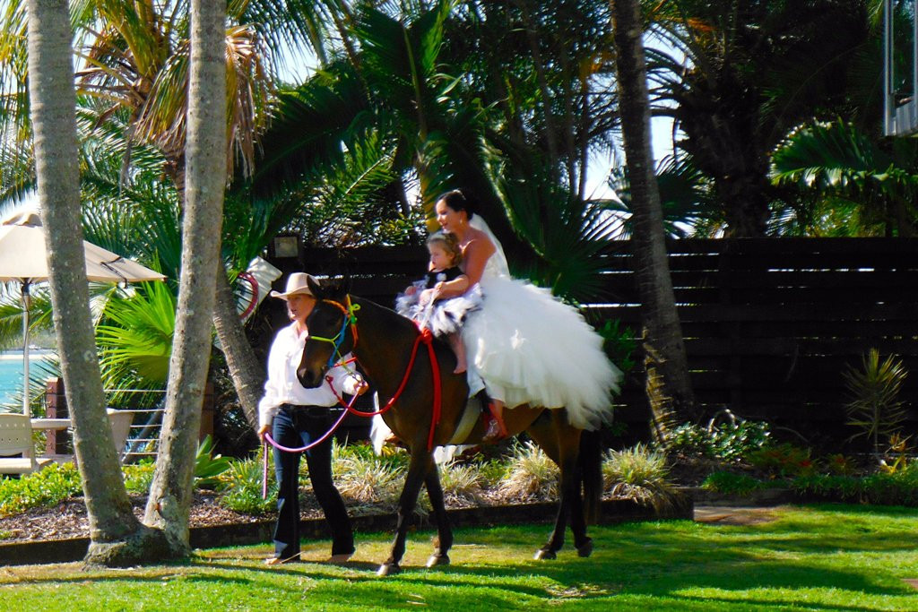 Rainbow Beach Horse Rides景点图片