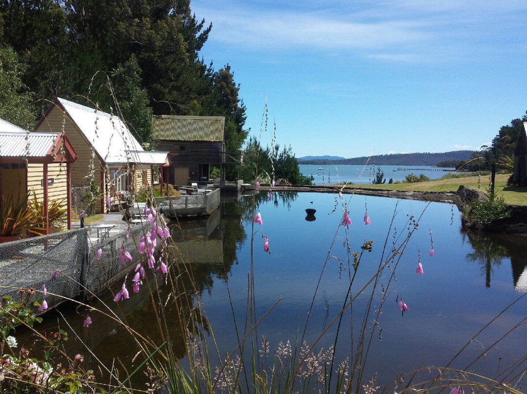 Fish Lips Cafe and Accommodation主图