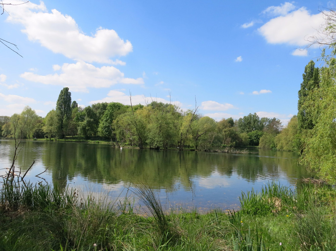 Parc du Château景点图片