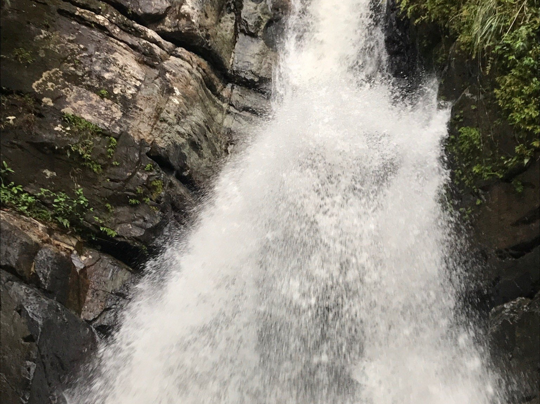 Catarata La Mina-云盖国家森林公园必去景点