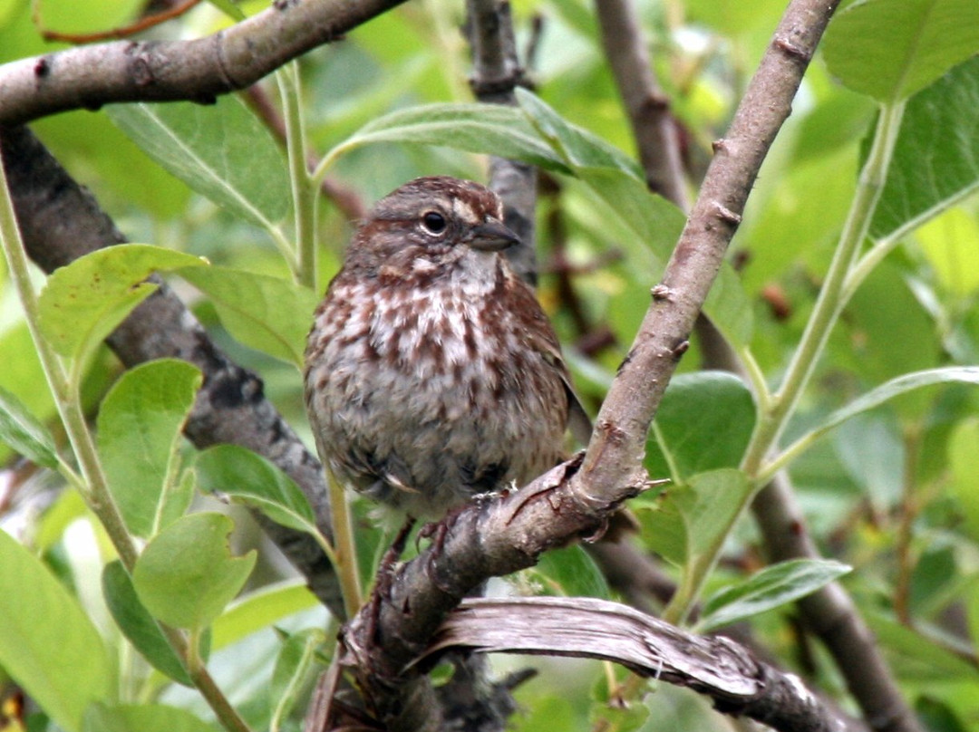 Siletz Bay National Wildlife Refuge-林肯城必去景点