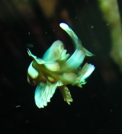 Arko Beach-邦劳岛必去景点