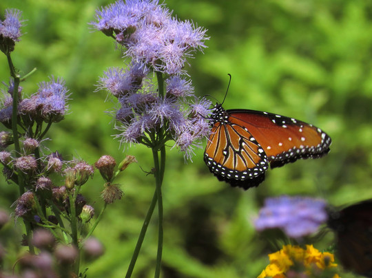 Presidio de San Saba-Menard必去景点