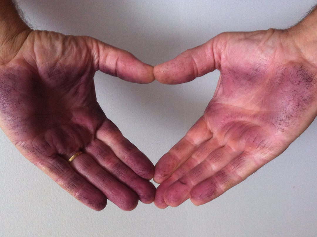 Wimmera Hills Winery-Elmhurst必去景点