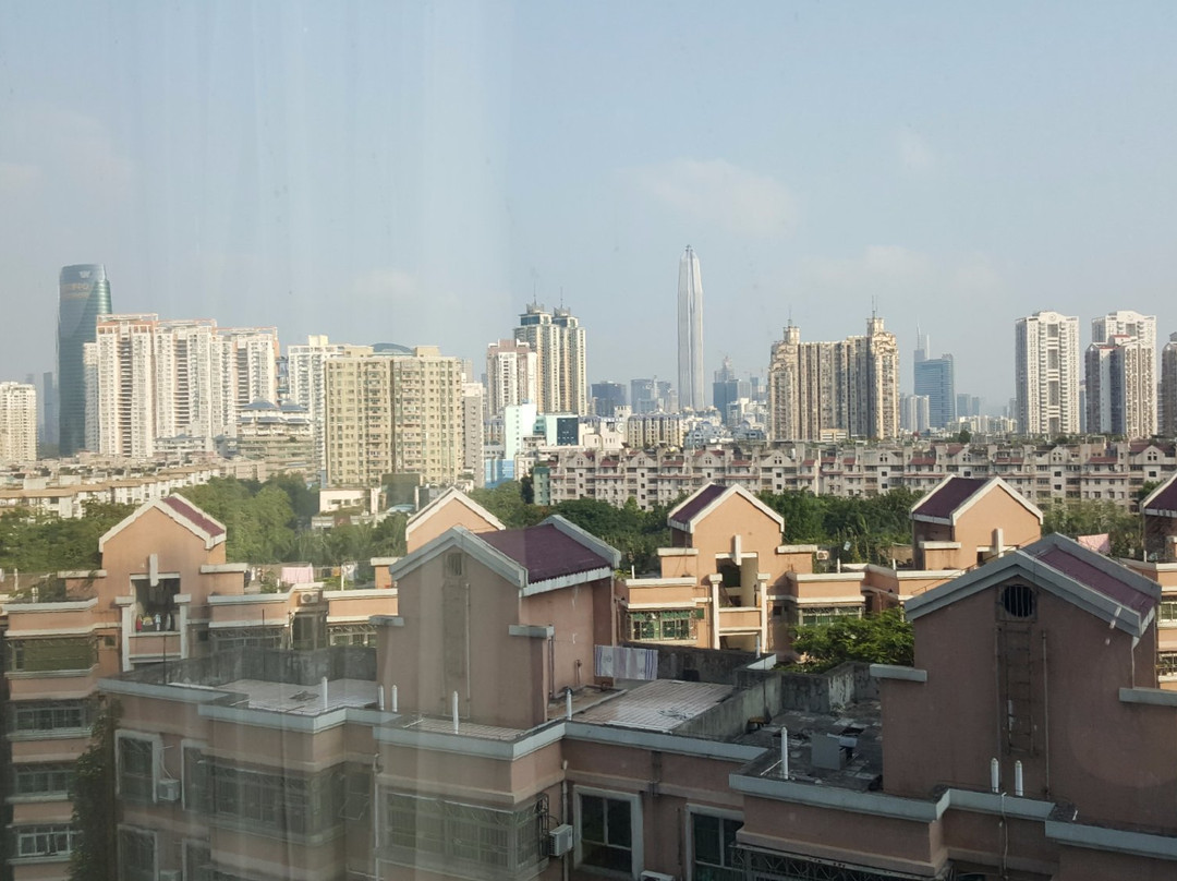 深圳维也纳酒店国际店主图