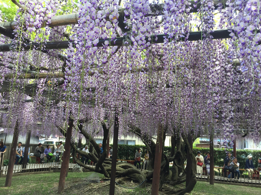 Taigan-ji Temple景点图片
