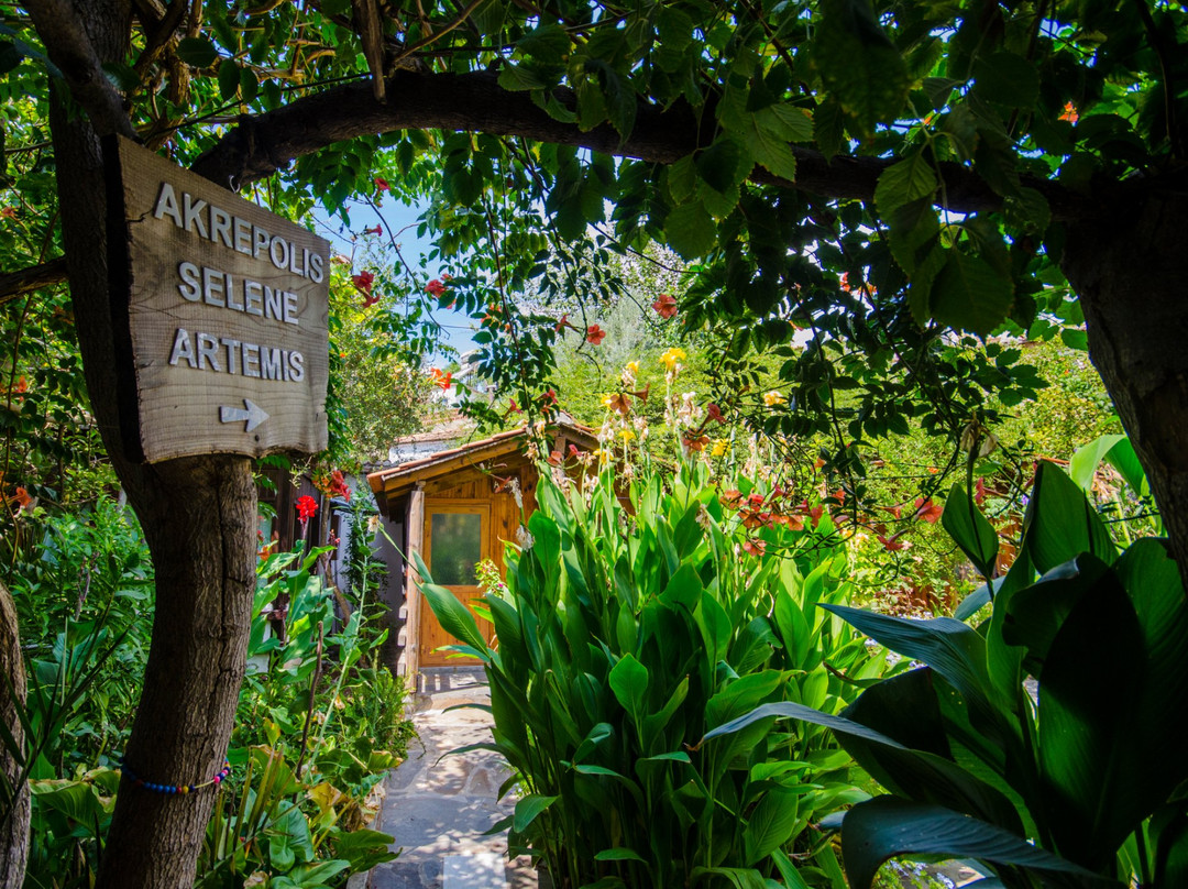 Pinarcik酒店住宿-Agora Pansiyon