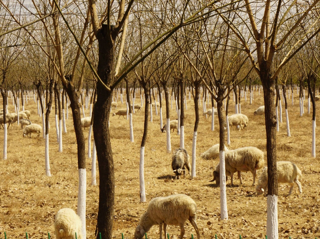 百里山水画廊景区-北京市必去景点