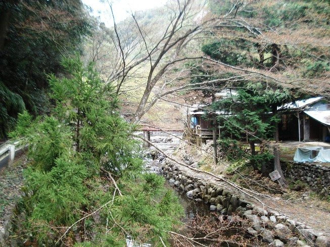 Tado Valley-桑名市必去景点