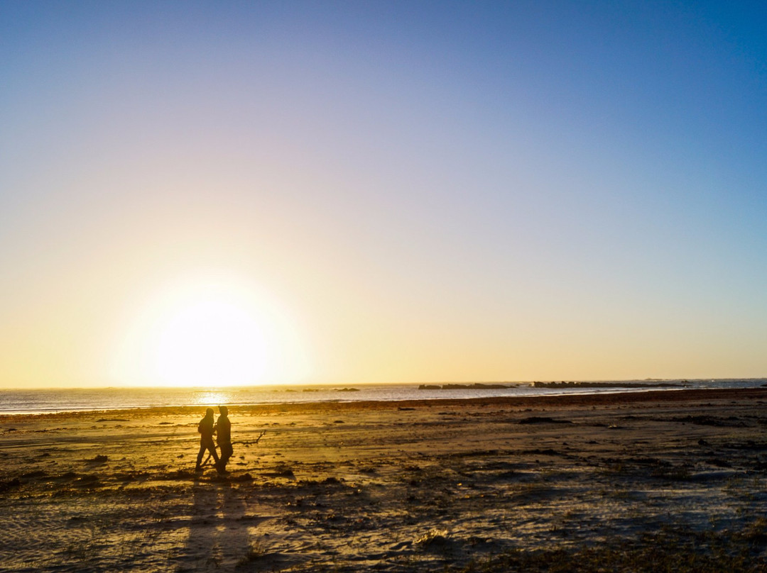 Isla Mocha-Tirua必去景点