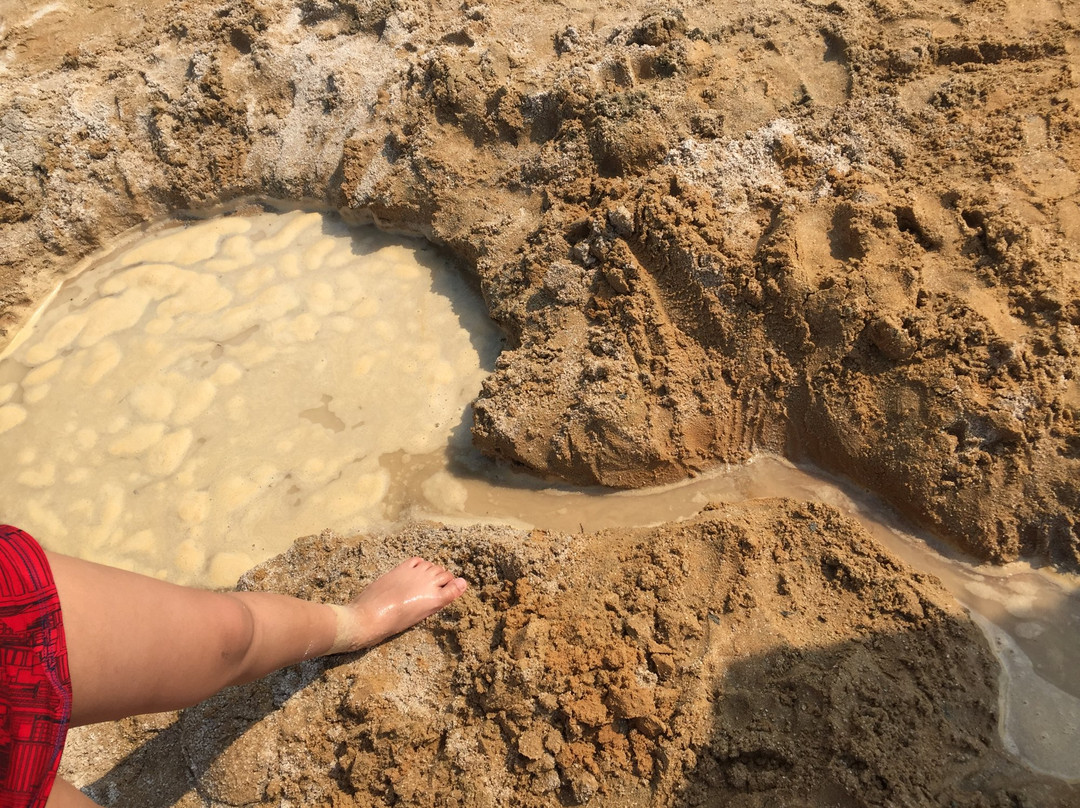 金仓湖公园-太仓市必去景点