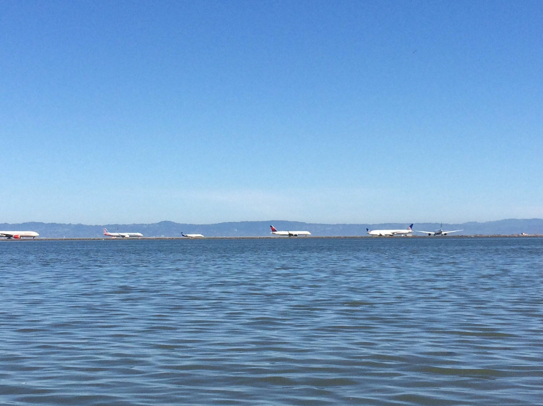 Shorebird Sanctuary-伯灵格姆必去景点
