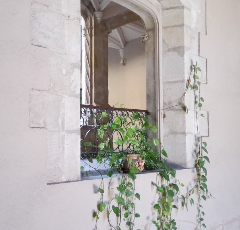 Antiguo Hospital de Santa Magdalena景点图片
