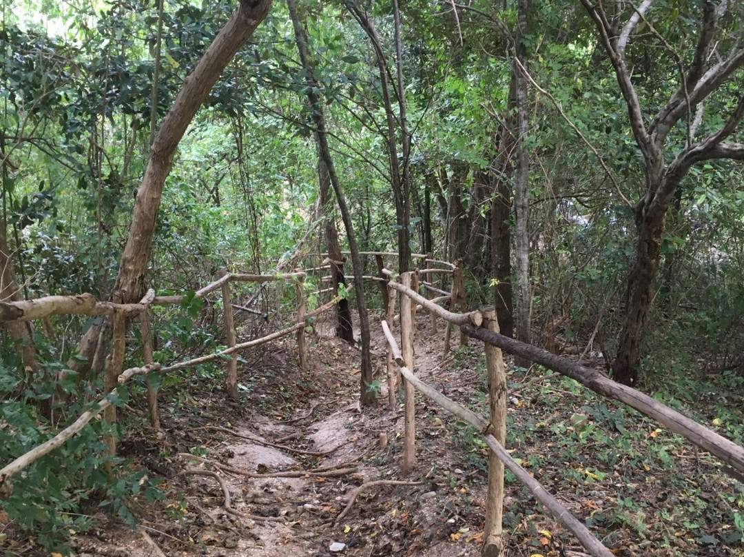 Megua Parque Biotematico-Galapa必去景点