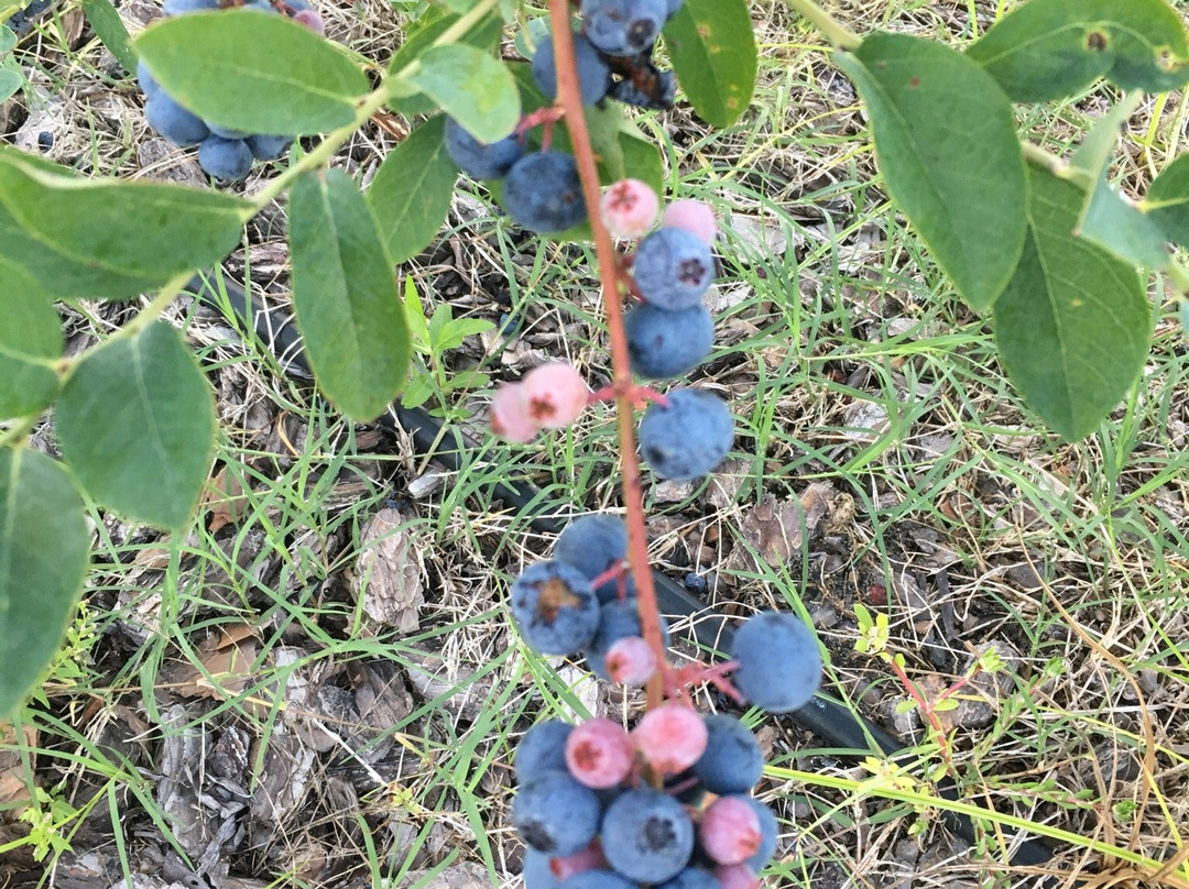 Southern Grace Farms-Enigma必去景点