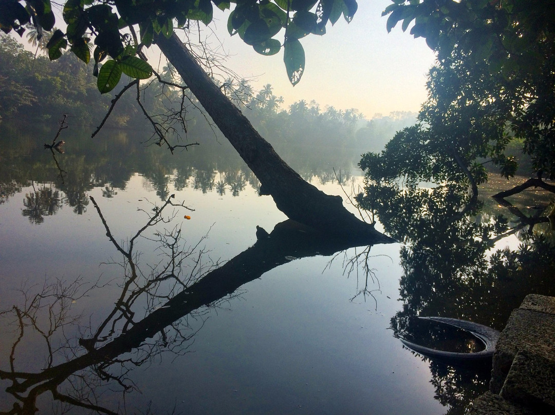 River View Villa Weligama主图