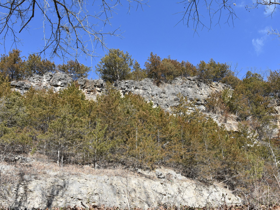 Roubidoux Creek & Spring-Waynesville必去景点