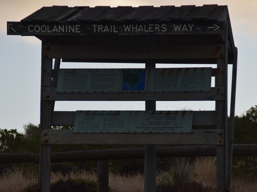 Tourist Drive 56-维克多港必去景点