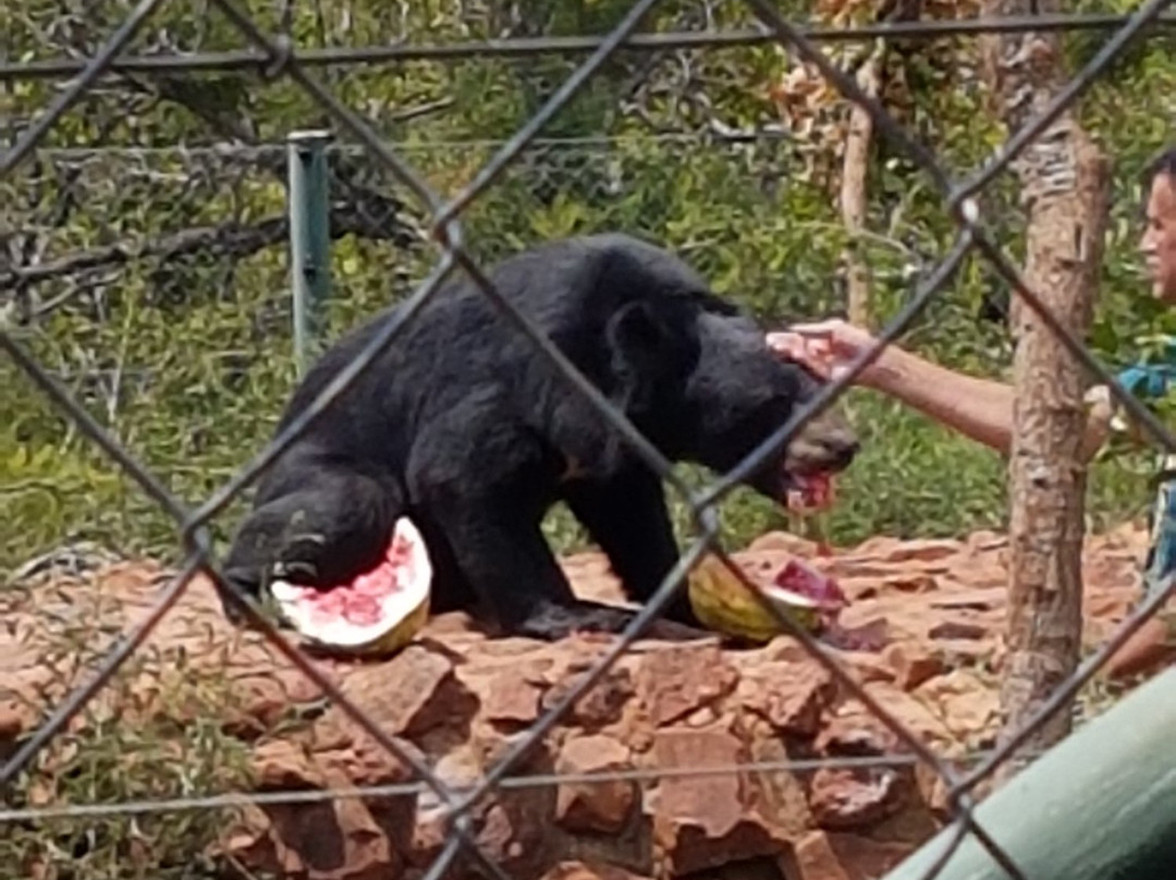 MBIDI Resort & Animal Sanctuary-米德尔堡必去景点