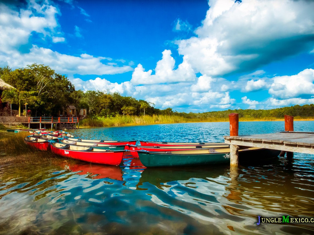 VIP Jungle Tours-阿范特拉斯港必去景点