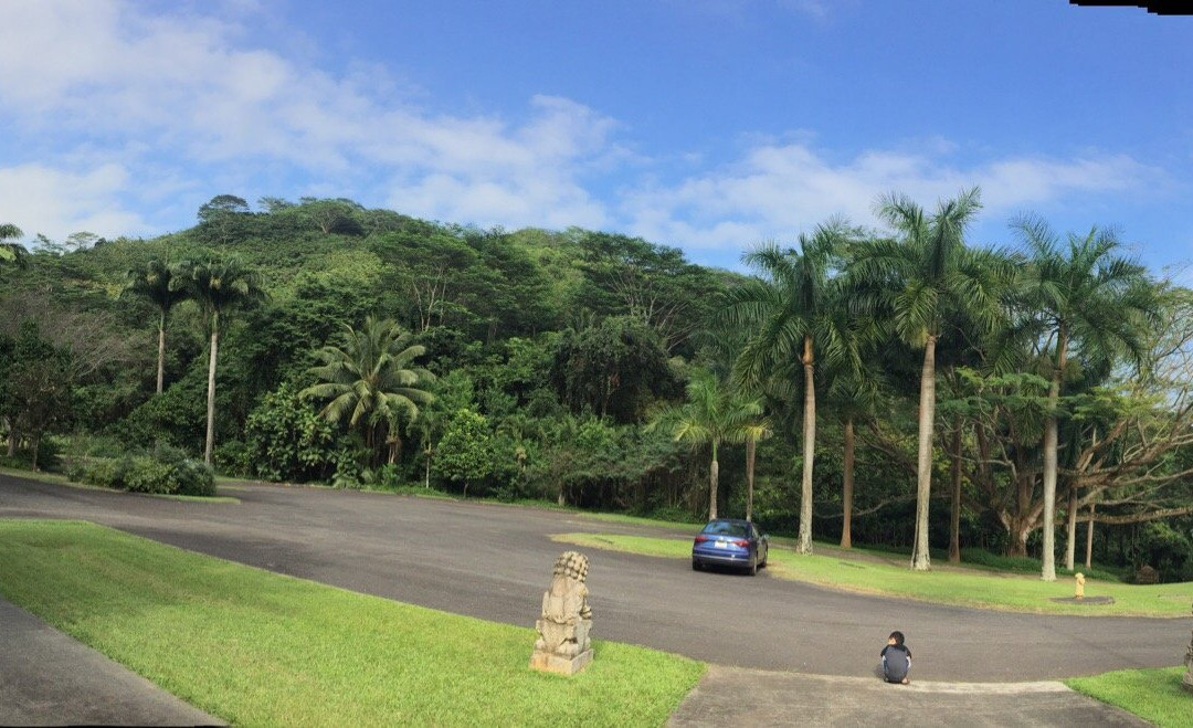 邝友良参议员的种植园和花园-卡内奥赫必去景点