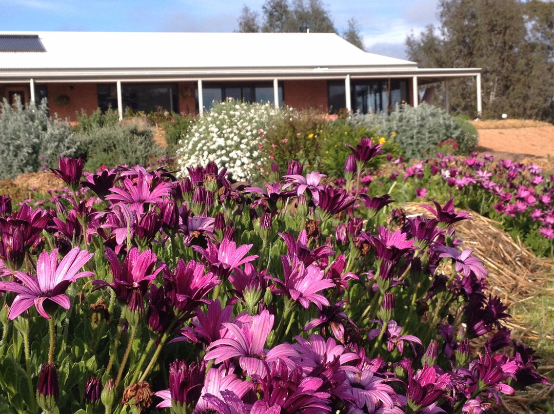 River Gardens Axedale Pet Friendly Farmstay B&B