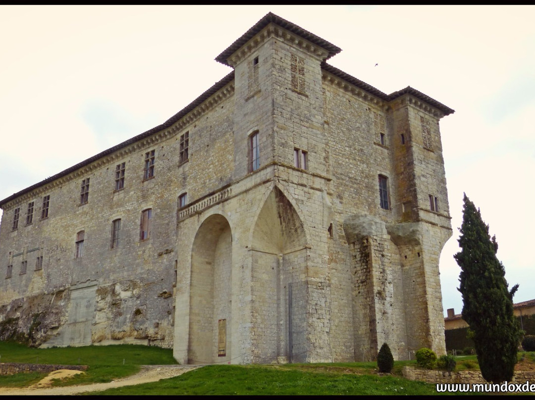 Chateau de Lavardens景点图片